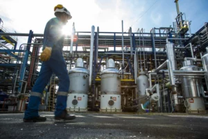 fot. zielonagospodarka.pl/