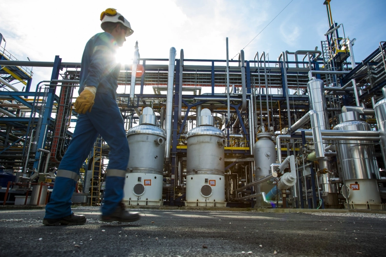 fot. zielonagospodarka.pl/